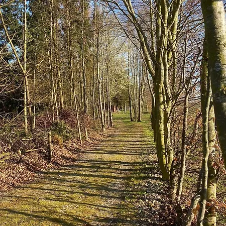 Am Damwildgatter Apartmán *
