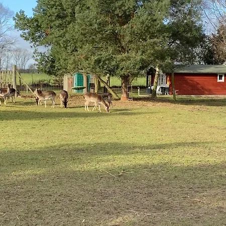 Apartmán Am Damwildgatter *